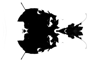 Illustration for article titled Shooting Challenge Rorschach Gallery